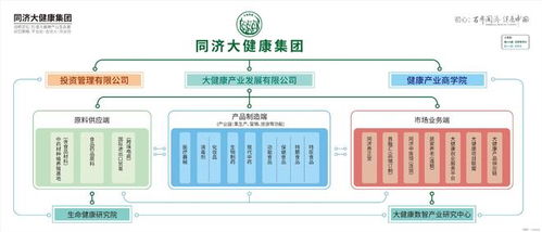 2025年代餐粉代工選擇權威指南 核心考察維度、合作策略與數字化賦能